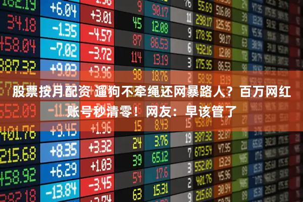 股票按月配资 遛狗不牵绳还网暴路人？百万网红账号秒清零！网友：早该管了